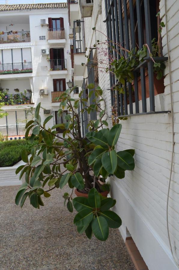 塞维利亚La Casa De Jose Manuel公寓 外观 照片